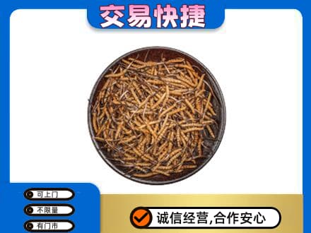 呼和浩特玉泉区回收散虫草